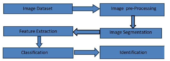 22ccd399 fig 1