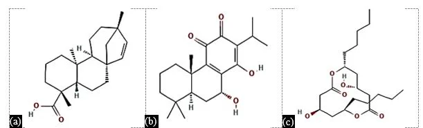 In Silico Drug Design for Mycobacterium tuberculosis and Development of Host–Pathogen Interaction Network and Molecular Docking Procedures 1 38d21993 capture