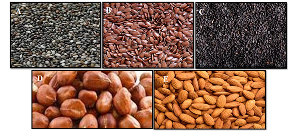 Total Lipids and Storage Quality of Oil Seeds and Nuts as Influenced by Yeast Fermentation 1 b6392207 screenshot 2024 08 16 173248