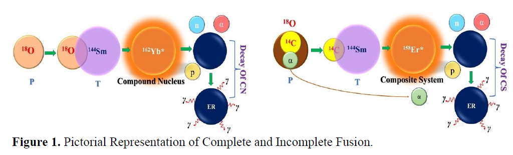 c8f74c6c fig. 1