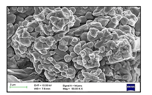 f0c2040c figure 1