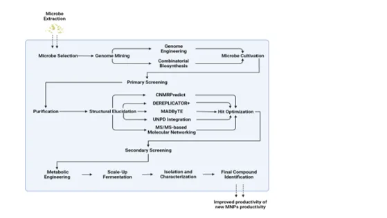 Unlocking Microbial Potential: Innovations in Natural Product Biosynthesis and Therapeutic Applications 1 f59a3b47 n png