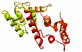 fed6250a fi drug