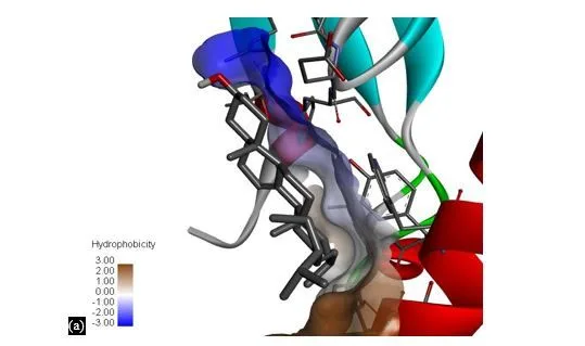 Exploring Glucagon-like peptide-1 as a Target Protein for Diabetes Mellitus Treatment: Molecular Docking and Pharmacokinetic Analysis of Phytocompounds from Momordica charantia 9 figures