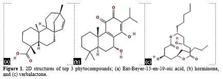 In Silico Drug Design for Mycobacterium tuberculosis and Development of Host–Pathogen Interaction Network and Molecular Docking Procedures 2 figures