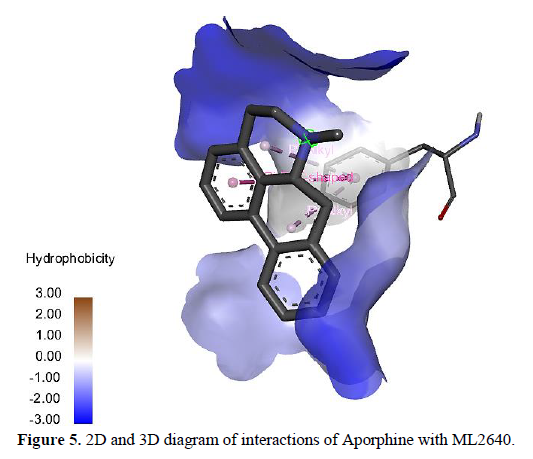 Molecular Docking Study: Targeting mycobacterium leprae ML2640 Protein Using Active Compounds from Coscinium fenestratum 5 figures