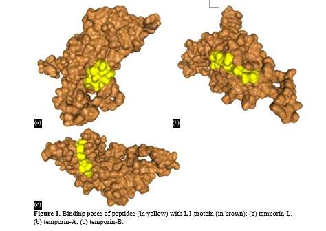 Effectiveness of Temporins for the Treatment of HPV Infections 2 figures