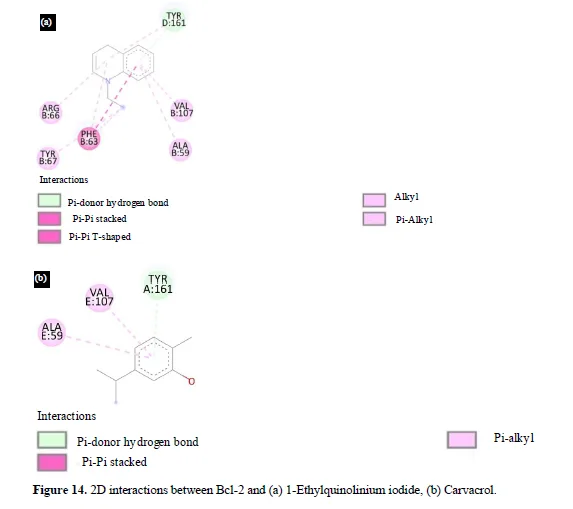 Exploring the Potential of Allium sativum Phytocompounds as B-Cell Leukemia 2 Inhibitors in Acute Lymphoblastic Leukemia: Molecular Docking Study 17 figures