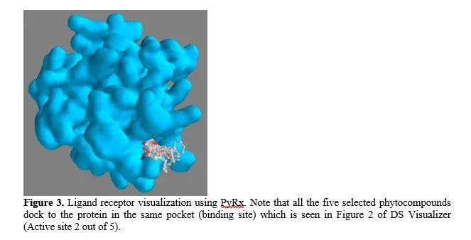 A Molecular Docking Study: Targetting HIV-1 Integrase Protein Against Selected Phytocompounds from Calophyllum Lanigerum 4 figures