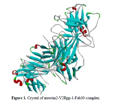 Targeting Vasopressin 2 Receptor (V2R) in Renal Cystogenesis by Exploring the Nephroprotective Potential of “Terminalia arjuna” 2 figures