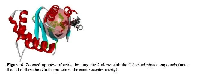 A Molecular Docking Study: Targetting HIV-1 Integrase Protein Against Selected Phytocompounds from Calophyllum Lanigerum 5 figures