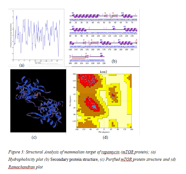 Inhibition of PI3K/Akt/mTOR Signaling Pathway by Vitis Vinifera Phytocompounds: A Promising Strategy for Supressing Colorectal Cancer Growth and Metastasis 4 figures