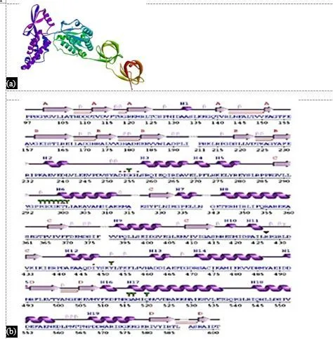 In Silico Drug Design for Mycobacterium tuberculosis and Development of Host–Pathogen Interaction Network and Molecular Docking Procedures 11 figures