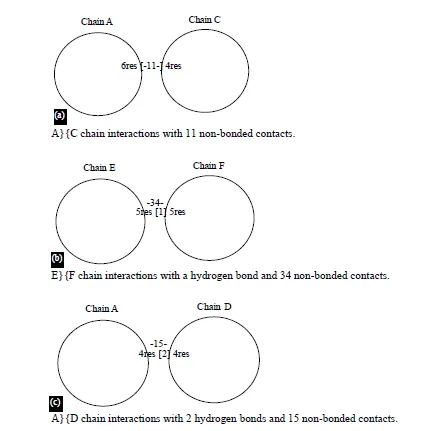 Exploring the Potential of Allium sativum Phytocompounds as B-Cell Leukemia 2 Inhibitors in Acute Lymphoblastic Leukemia: Molecular Docking Study 7 figures