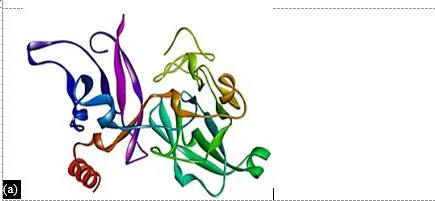 In Silico Drug Design for Mycobacterium tuberculosis and Development of Host–Pathogen Interaction Network and Molecular Docking Procedures 3 figures