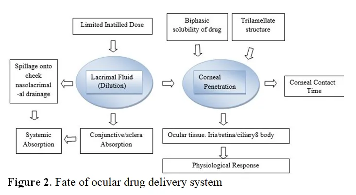 Recent Trends in Ocular Drug Delivery: Challenges and Approaches 3 figures