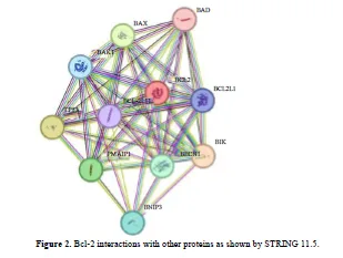 Exploring the Potential of Allium sativum Phytocompounds as B-Cell Leukemia 2 Inhibitors in Acute Lymphoblastic Leukemia: Molecular Docking Study 3 figures