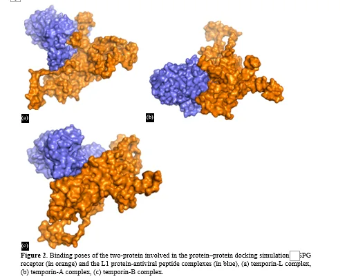 Effectiveness of Temporins for the Treatment of HPV Infections 3 figures