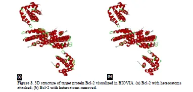 Exploring the Potential of Allium sativum Phytocompounds as B-Cell Leukemia 2 Inhibitors in Acute Lymphoblastic Leukemia: Molecular Docking Study 4 figures