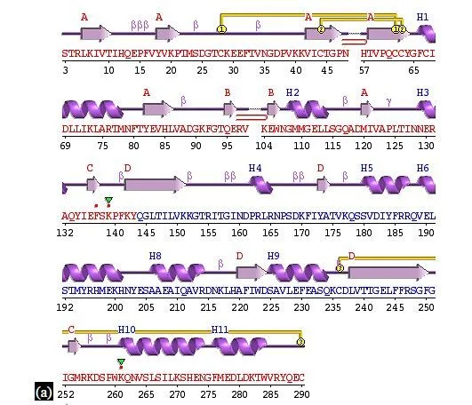 figures