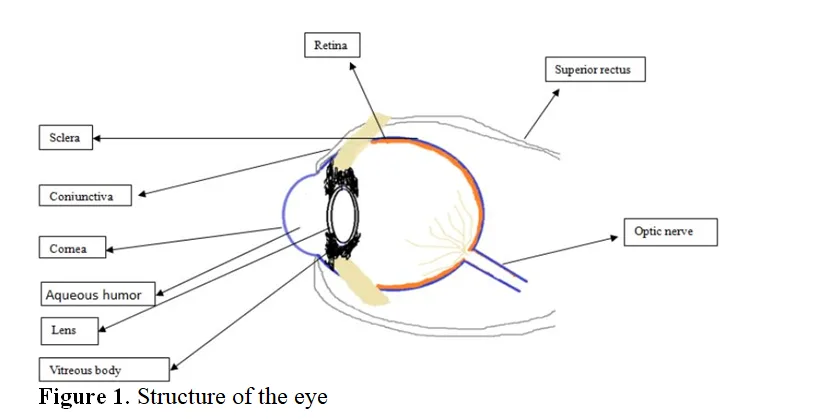 Recent Trends in Ocular Drug Delivery: Challenges and Approaches 2 figures