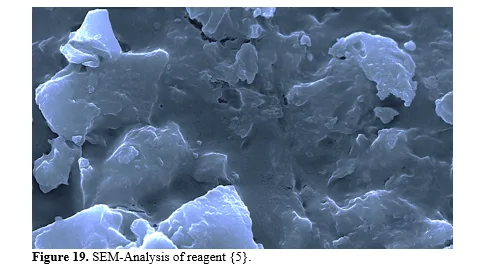 New Analytical Reagents and Study of Preparation, Spectral Characterization, Scanning Microscopy, and Solubility Behaviors 20 figures