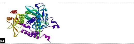 In Silico Drug Design for Mycobacterium tuberculosis and Development of Host–Pathogen Interaction Network and Molecular Docking Procedures 14 figures