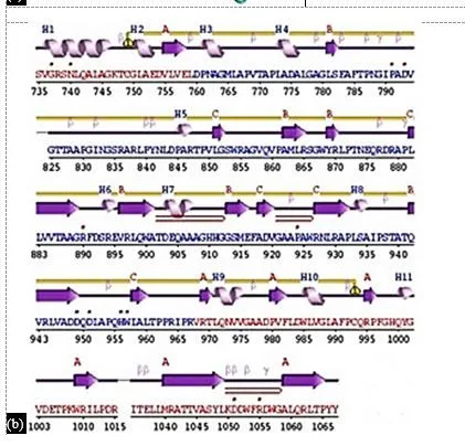 In Silico Drug Design for Mycobacterium tuberculosis and Development of Host–Pathogen Interaction Network and Molecular Docking Procedures 4 figures