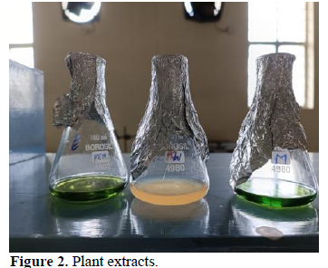 Studies on Extraction of Flavonoids from the Peel of Pisum Sativum 3 figures