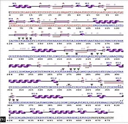 In Silico Drug Design for Mycobacterium tuberculosis and Development of Host–Pathogen Interaction Network and Molecular Docking Procedures 15 figures