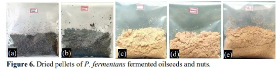 Total Lipids and Storage Quality of Oil Seeds and Nuts as Influenced by Yeast Fermentation 7 figures