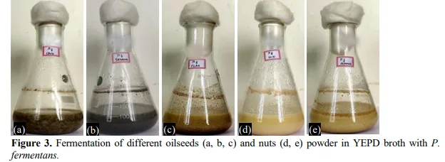 Total Lipids and Storage Quality of Oil Seeds and Nuts as Influenced by Yeast Fermentation 4 figures