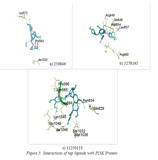 Inhibition of PI3K/Akt/mTOR Signaling Pathway by Vitis Vinifera Phytocompounds: A Promising Strategy for Supressing Colorectal Cancer Growth and Metastasis 6 figures