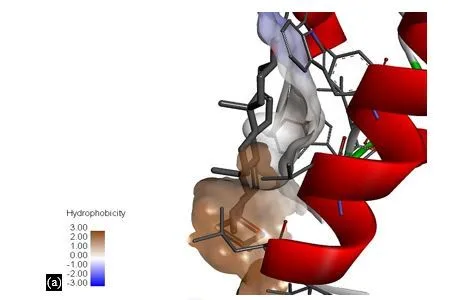 Exploring Glucagon-like peptide-1 as a Target Protein for Diabetes Mellitus Treatment: Molecular Docking and Pharmacokinetic Analysis of Phytocompounds from Momordica charantia 7 figures