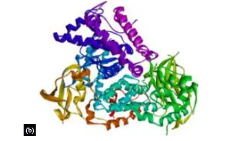 In Silico Prediction of Multitarget Mechanism of Quinoline and Its Analogs on Phosphoinositide-3- Kinase Pathway Proteins 8 figures