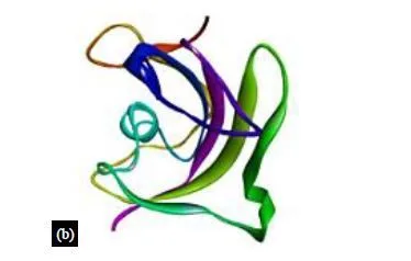 In Silico Prediction of Multitarget Mechanism of Quinoline and Its Analogs on Phosphoinositide-3- Kinase Pathway Proteins 6 figures