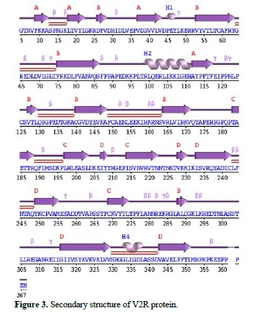 Targeting Vasopressin 2 Receptor (V2R) in Renal Cystogenesis by Exploring the Nephroprotective Potential of “Terminalia arjuna” 4 figures