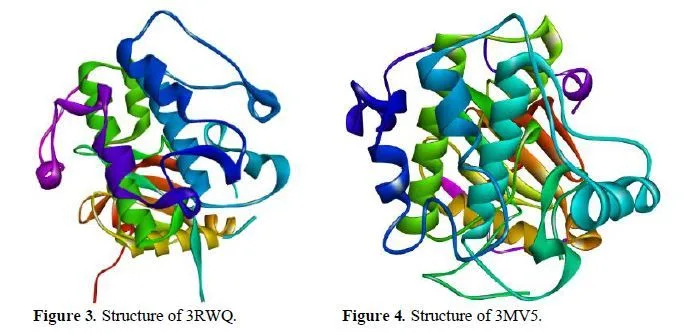 In Silico Prediction of Multitarget Mechanism of Quinoline and Its Analogs on Phosphoinositide-3- Kinase Pathway Proteins 4 figures