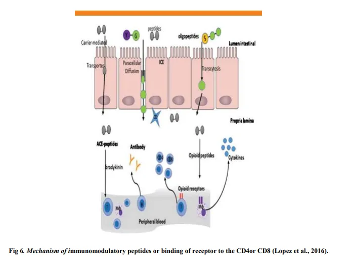 Aquatic Ecosystems: A Review on Prospecting of Anticancer Molecules from Fungi & Other Microbes 7 figures
