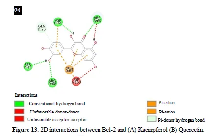 Exploring the Potential of Allium sativum Phytocompounds as B-Cell Leukemia 2 Inhibitors in Acute Lymphoblastic Leukemia: Molecular Docking Study 16 figures