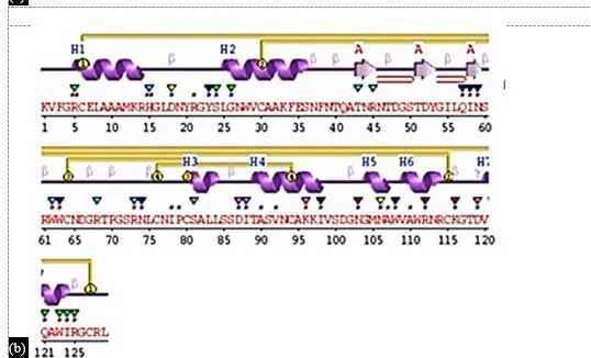 In Silico Drug Design for Mycobacterium tuberculosis and Development of Host–Pathogen Interaction Network and Molecular Docking Procedures 8 figures