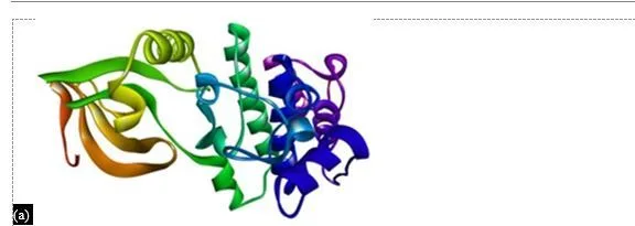 In Silico Drug Design for Mycobacterium tuberculosis and Development of Host–Pathogen Interaction Network and Molecular Docking Procedures 7 figures