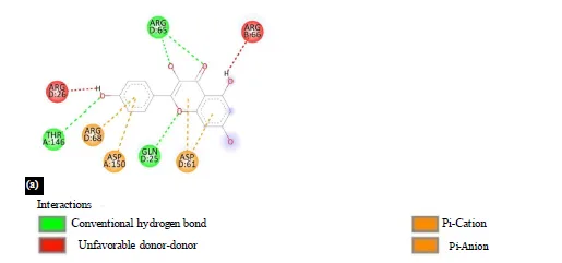 Exploring the Potential of Allium sativum Phytocompounds as B-Cell Leukemia 2 Inhibitors in Acute Lymphoblastic Leukemia: Molecular Docking Study 15 figures