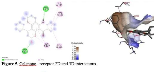 A Molecular Docking Study: Targetting HIV-1 Integrase Protein Against Selected Phytocompounds from Calophyllum Lanigerum 6 figures