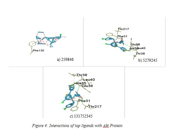 Inhibition of PI3K/Akt/mTOR Signaling Pathway by Vitis Vinifera Phytocompounds: A Promising Strategy for Supressing Colorectal Cancer Growth and Metastasis 5 figures