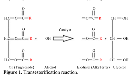 Review on Algae Biodiesel Production: A Strategy to Enhance Future 2 figures