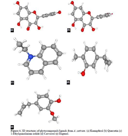 Exploring the Potential of Allium sativum Phytocompounds as B-Cell Leukemia 2 Inhibitors in Acute Lymphoblastic Leukemia: Molecular Docking Study 5 figures