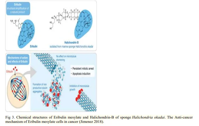 Aquatic Ecosystems: A Review on Prospecting of Anticancer Molecules from Fungi & Other Microbes 4 figures