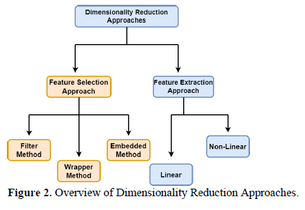 Dimensionality Reduction Techniques and their Applications in Cancer Classification: A Comprehensive Review 2 figures
