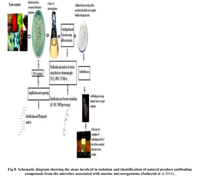 Aquatic Ecosystems: A Review on Prospecting of Anticancer Molecules from Fungi & Other Microbes 9 figures